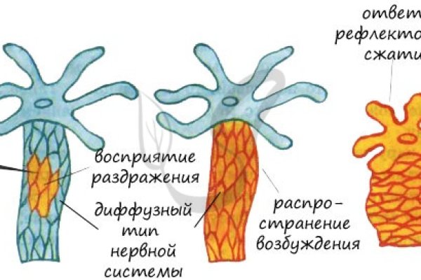 Кракен сайт биз